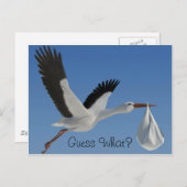 Ooievaar met Baby Bundle Briefkaart (Voorkant / Achterkant)