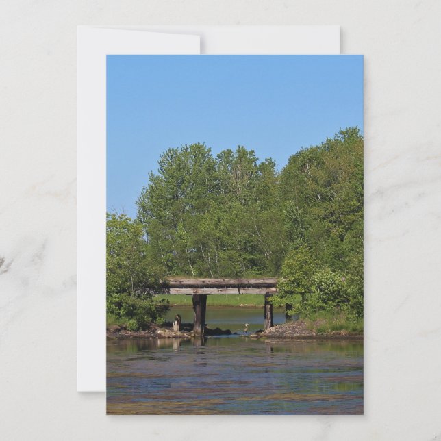 Ooievaar onder een Brug (Voorkant)
