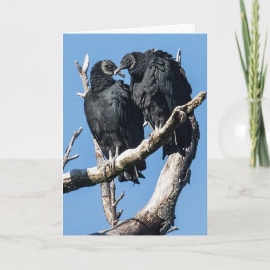 Ooievaar Valentijnskaart Feestdagen Kaart (Voorkant)