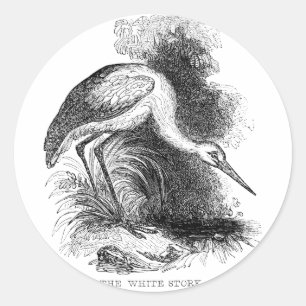 Ooievaar Vintage Vogel Wilde Natuur Tekening Ronde Sticker