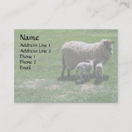 Ooit met tweelingen visitekaartje