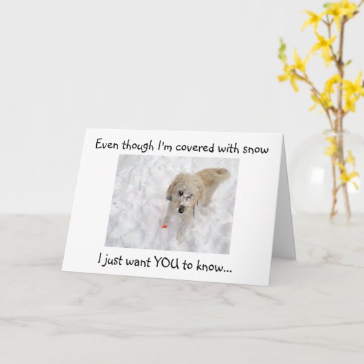 OOK AL BEN IK BEDEKT MET SNEEUW-40ste VERJAARDAG Kaart (Gele Bloem)