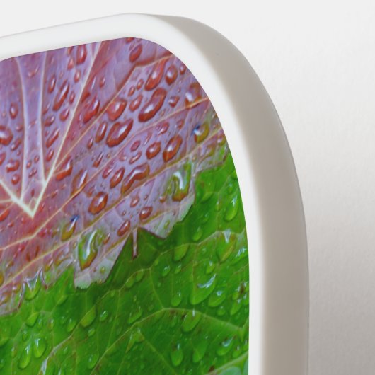 Ook B & G L Ikat Pickleball Paddle (Links Detail)