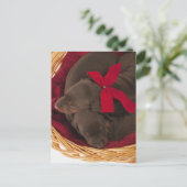 Ook Doberman Pincher. Middelgrote als huishond Briefkaart (Staand voorkant)