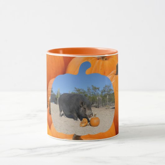 Oolong Citrouille Mug (Centre)