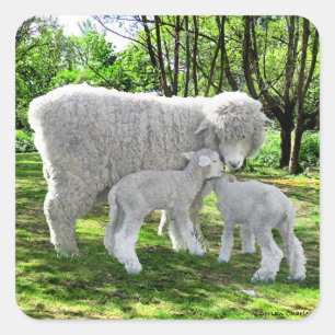"Oona & haar tweeling" Vierkante Sticker