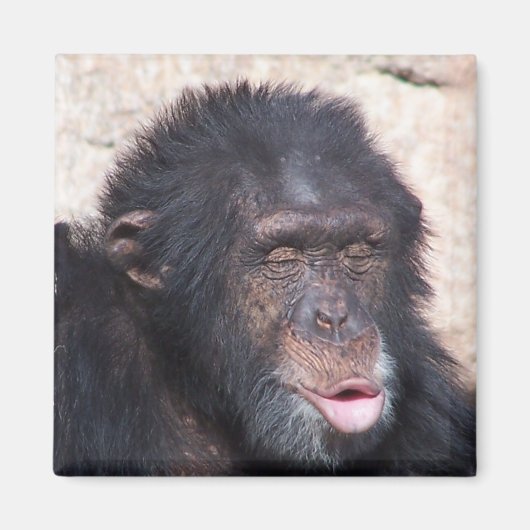 Ooo ooo ooo grappig gezicht magneet (Voorkant)