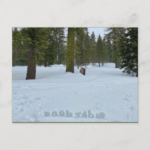 Oooh Tahoe Forest Briefkaart