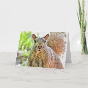 Oops J'Ai Manqué Votre Carte D'Anniversaire