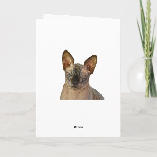 Oordelende Sphynx Cat Happy Birthday Kaart (Achterkant)