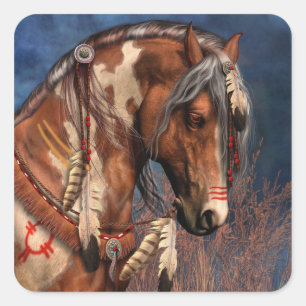 Oorlog Pony Stickers