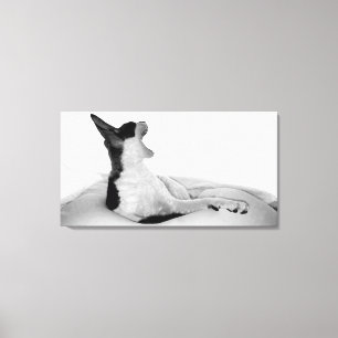 Oorspronkelijke titel: "Kitsa Diva" Canvas Afdruk