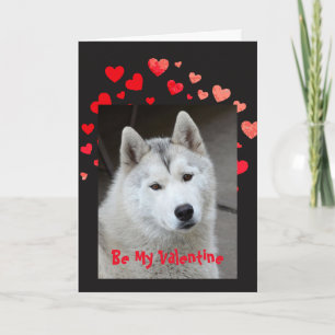 Oorzaak blaf ik Liefde u Schor Hond Valentijn Feestdagen Kaart