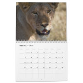 Oost-Afrika Safari Agenda Kalender (Feb 2026)