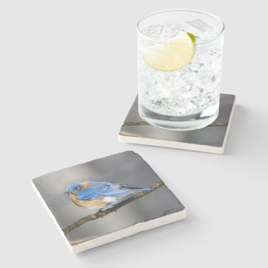 Oost-Bluebird Stone Onderzetter (Zijkant)