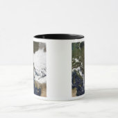 Oost- en Zuid-Europa Mok (Midden)