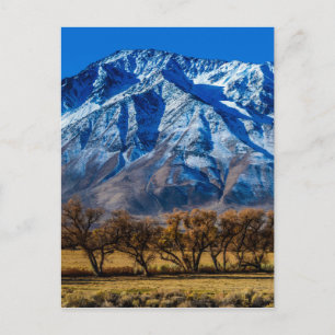 Oost-Sierra Nevada Herfst - Bisschop - Californië Briefkaart