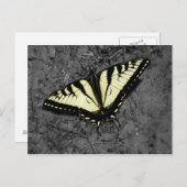 Oost-tijger Briefkaart (Voorkant / Achterkant)