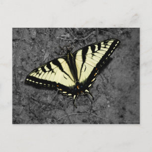 Oost-tijger Briefkaart