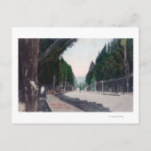 Oost-Uitzicht op Main StreetLewiston, ID Briefkaart (Voorkant)