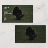 Oost-Wild Turkije Visitekaartje (Voorkant / Achterkant)