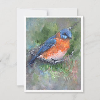 Oostelijke Blauwborst Schilderij Notitiekaart Notitiekaartje