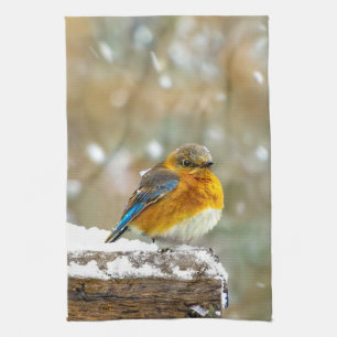 Oostelijke Blauwstaart in Sneeuw - Originele Foto Theedoek