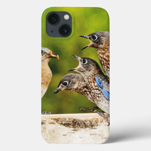 Oostelijke Blauwvogel Case-Mate iPhone Case (Achterkant)