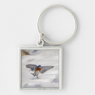 Oostelijke Blauwvogel dansend in de sneeuw Sleutelhanger