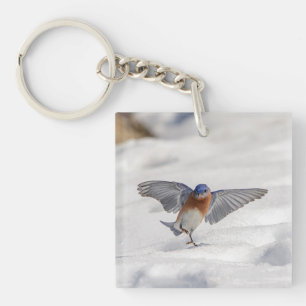 Oostelijke Blauwvogel dansend in de sneeuw Sleutelhanger