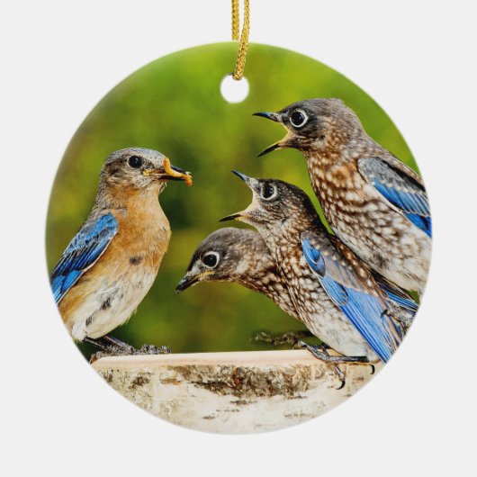 Oostelijke Blauwvogel Keramisch Ornament (Voorkant)