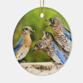 Oostelijke Blauwvogel Keramisch Ornament (Links)