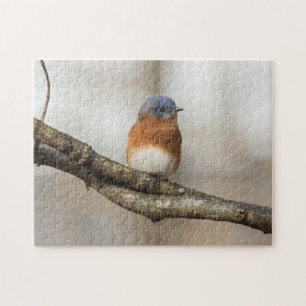 Oostelijke Blauwvogel Legpuzzel