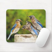 Oostelijke Blauwvogel Muismat (Met muis)