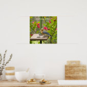 Oostelijke Blauwvogel Poster (Keuken)