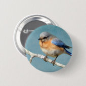 Oostelijke Blauwvogel Ronde Button 5,7 Cm (Voorkant /achterkant)