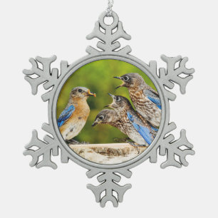 Oostelijke Blauwvogel Tin Sneeuwvlok Ornament
