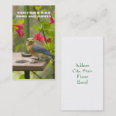 Oostelijke Blauwvogel Visitekaartje (Voorkant / Achterkant)