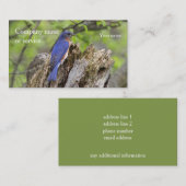 Oostelijke Blauwvogel Visitekaartje (Voorkant / Achterkant)
