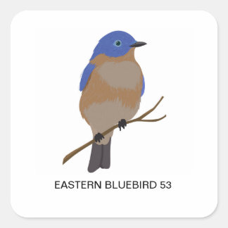 Oostelijke Bluebird 53 Sticker