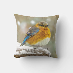 Oostelijke Bluebird in Snow - Originele Foto Buitenkussen
