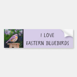Oostelijke Bluebird in Snow - Originele Foto Bumpersticker