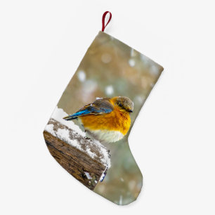 Oostelijke Bluebird in Snow - Originele Foto Kleine Kerstsok