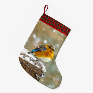 Oostelijke Bluebird in Snow - Originele Foto Kleine Kerstsok