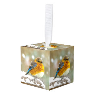 Oostelijke Bluebird in Snow - Originele Foto Kubus Ornament