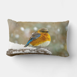 Oostelijke Bluebird in Snow - Originele Foto Kussen