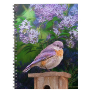 Oostelijke Bluebird in Snow - Originele Foto Notitieboek