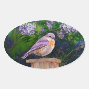 Oostelijke Bluebird in Snow - Originele Foto Ovale Sticker