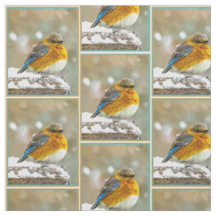 Oostelijke Bluebird in Snow - Originele Foto Stof