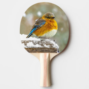 Oostelijke Bluebird in Snow - Originele Foto Tafeltennisbatje